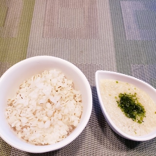 お家で簡単！麦とろご飯